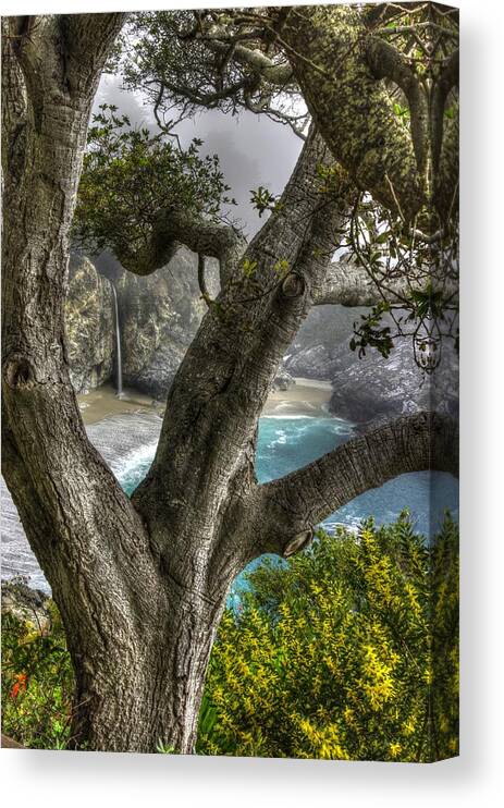 California Canvas Print featuring the photograph Big Sur Mc Way Falls at Julia Pfeiffer State Park-1 Central California Coast Spring Early Afternoon by Michael Mazaika