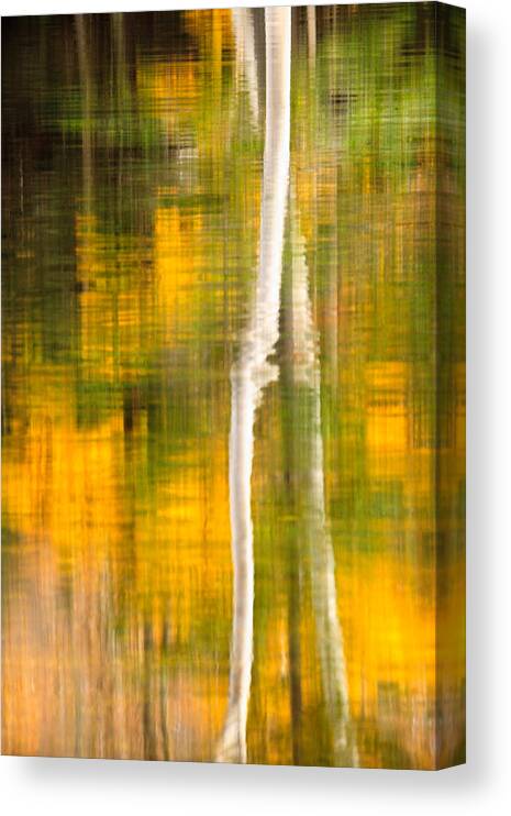 Abstract Canvas Print featuring the photograph Birch Reflections by Jeff Sinon