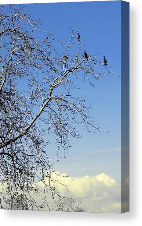 Tree Canvas Print featuring the photograph Birds On Tree by Ben and Raisa Gertsberg