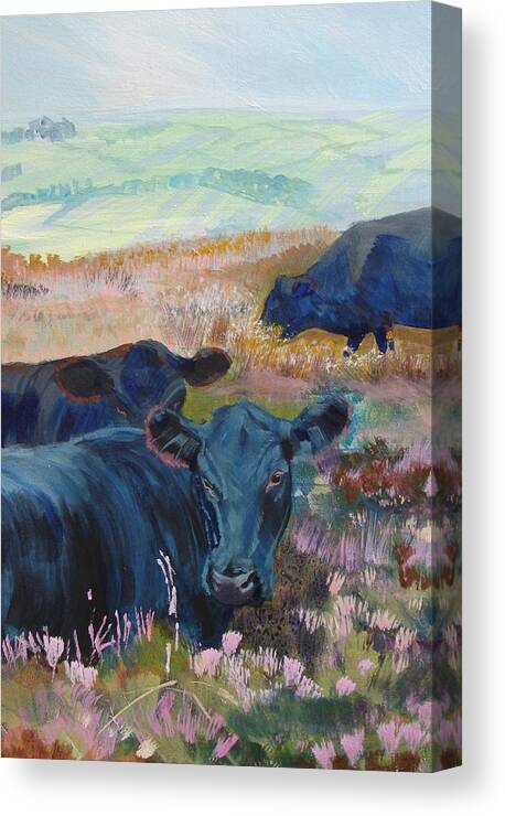 Cow Canvas Print featuring the painting Black Cows on Dartmoor by Mike Jory