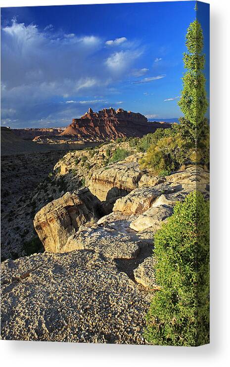 Landscape Canvas Print featuring the photograph Black Dragon Canyon Vista by Gary Kaylor