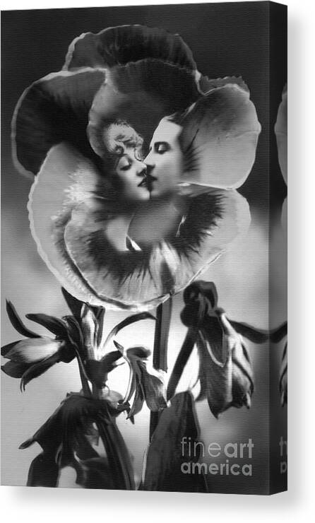 Pansy Canvas Print featuring the photograph Bloomin' Kiss Vintage Art BW by Lesa Fine