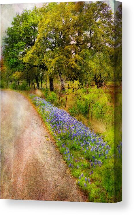 Trees Canvas Print featuring the photograph Blue Bonnet Path by Joan Bertucci