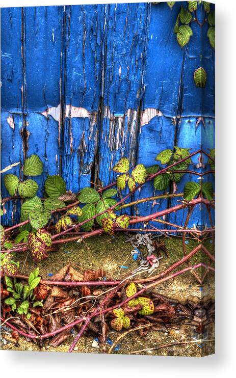 Blue Canvas Print featuring the photograph Blue door by Spikey Mouse Photography