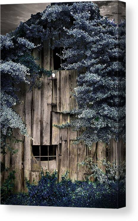 Country Canvas Print featuring the photograph ...Blue by Gray Artus