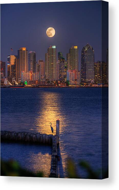 Moonlight Canvas Print featuring the photograph Blue Heron Moon by Peter Tellone