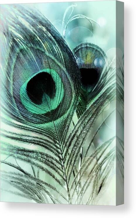 Photography Canvas Print featuring the photograph Blue Lagoon by Darlene Kwiatkowski