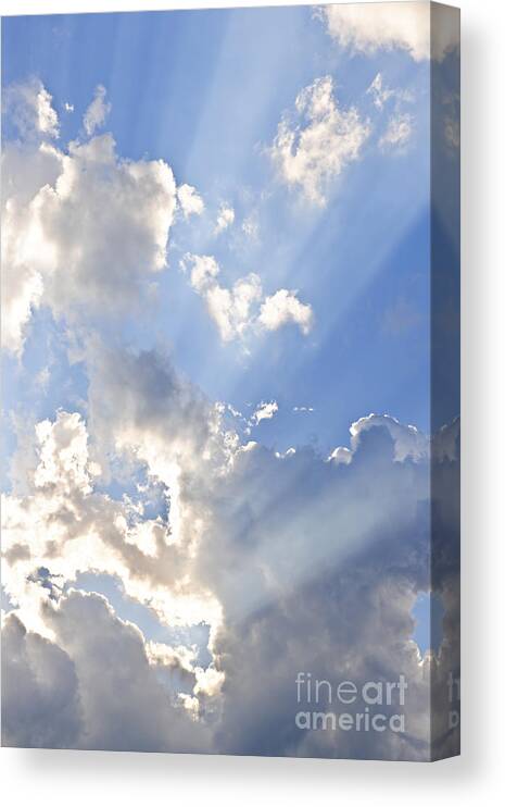 Sky Canvas Print featuring the photograph Blue sky with sun rays by Elena Elisseeva