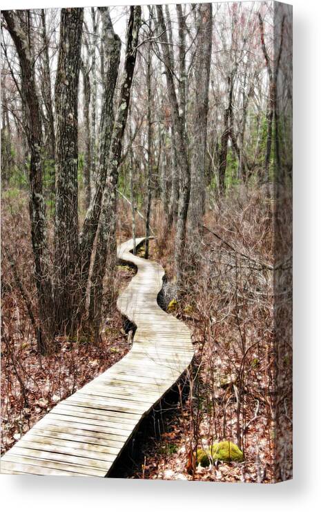 Forest Canvas Print featuring the photograph Boardwalk Through the Woods by Brooke T Ryan