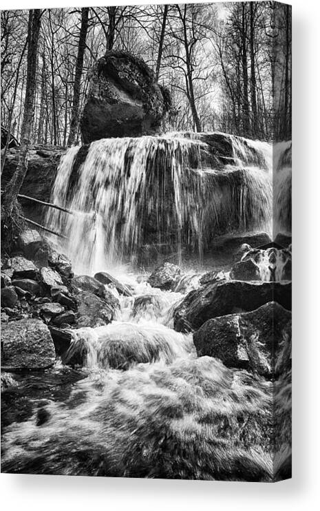 Rock Canvas Print featuring the photograph Bold by Alan Raasch