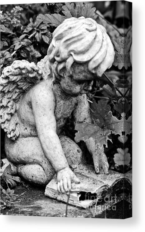  Canvas Print featuring the photograph Book Angel by Cheryl Baxter