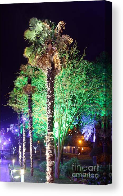 Bournemouth Canvas Print featuring the photograph Bournemouth Winter Gardens at Night by Terri Waters