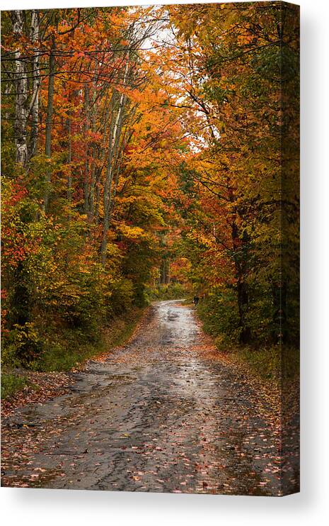Autumn Foliage New England Canvas Print featuring the photograph Breathe in the fall color by Jeff Folger