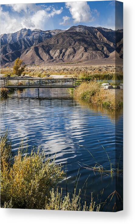 California Canvas Print featuring the photograph Bridge at Buckley Ponds by Cat Connor