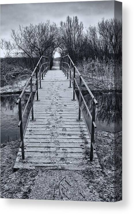 Nature Canvas Print featuring the photograph Bridge over river by Mike Santis