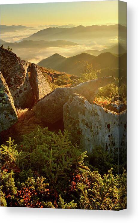 Scenics Canvas Print featuring the photograph Bright Morning Landscape In Mountains by Rezus