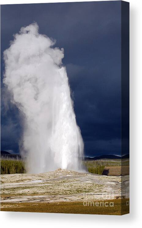Yellowstone Canvas Print featuring the photograph Bright Steam Plume set against a Darkening Sky from Old Faithful Geyser in Yellowstone National Park by Shawn O'Brien