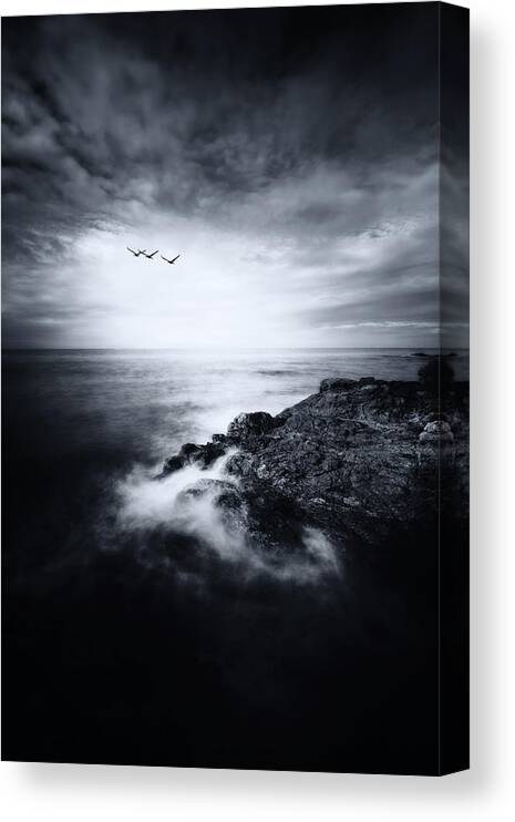 Seascape Canvas Print featuring the photograph Bring Me Home by Philippe Sainte-Laudy