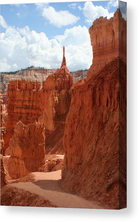  Canvas Print featuring the photograph Bryce Canyon 3 by Jon Emery