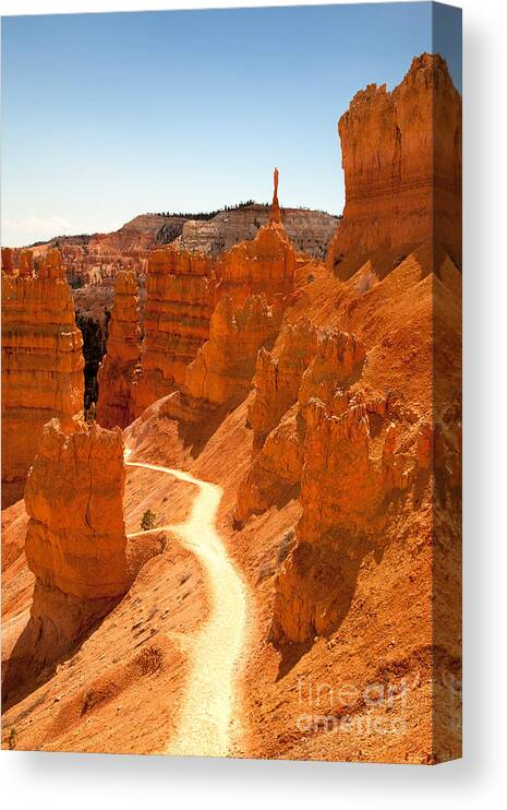 America Canvas Print featuring the photograph Bryce Canyon trail by Jane Rix