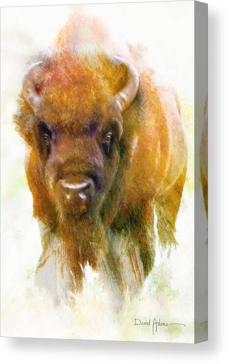 Buffalo Canvas Print featuring the painting Buffalo II Daniel Adams by Daniel Adams
