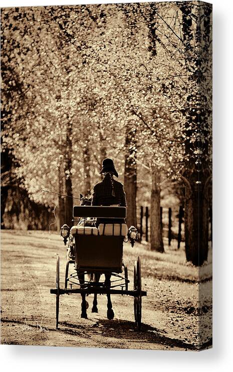 Flatlandsfoto Canvas Print featuring the photograph Buggy Ride by Joan Davis