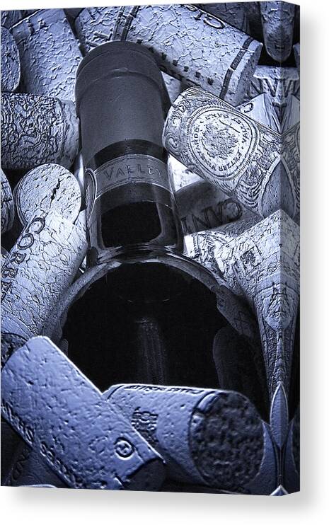 Wine Canvas Print featuring the photograph Buried Wine Bottle by Tom Mc Nemar