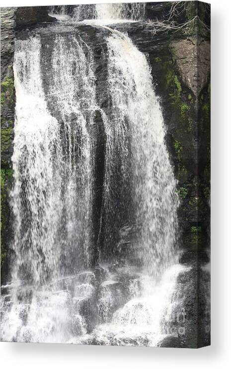Bushkill Waterfalls Canvas Print featuring the photograph Bushkill Waterfalls by John Telfer