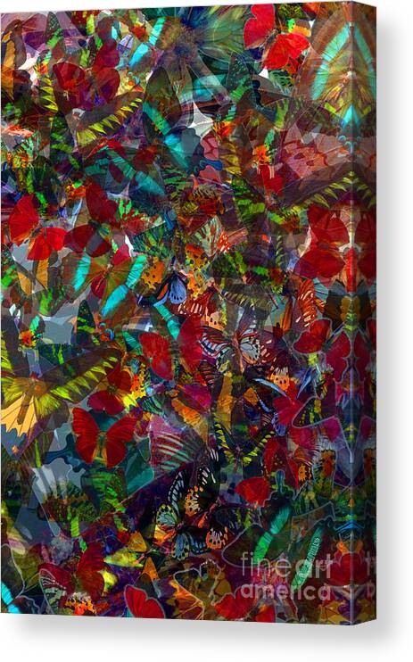 Butterflys Canvas Print featuring the photograph Butterfly Collage Red by Robert Meanor