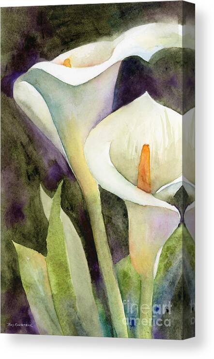 Zantedeschia Canvas Print featuring the painting Calla Lilies by Amy Kirkpatrick