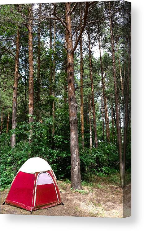 Campfire Canvas Print featuring the photograph Campsite Near Holland State Park by Lars Lentz