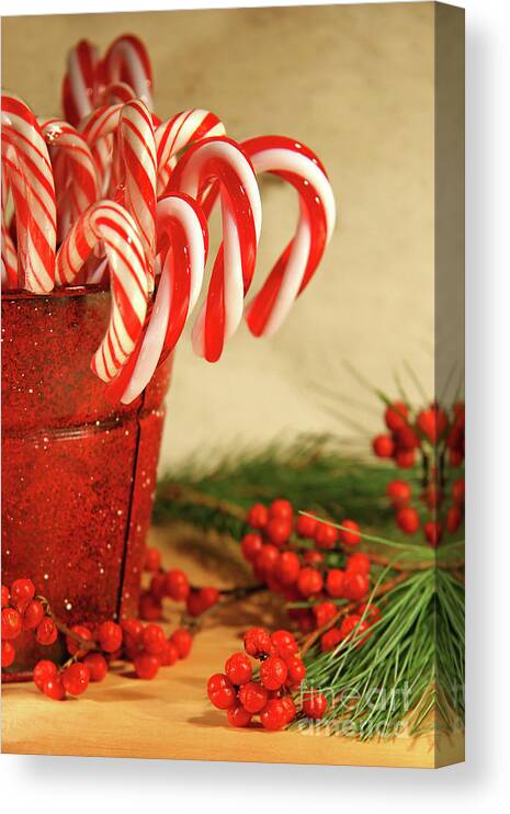 Background Canvas Print featuring the photograph Candycanes with berries and pine by Sandra Cunningham