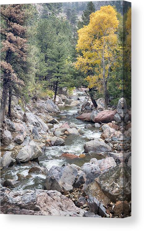 Canyons Canvas Print featuring the photograph Canyon Creek Touch of Gold by James BO Insogna