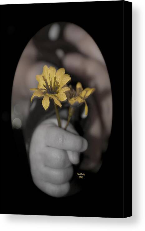 Hand Canvas Print featuring the photograph Carlee's Daisy by Trish Tritz