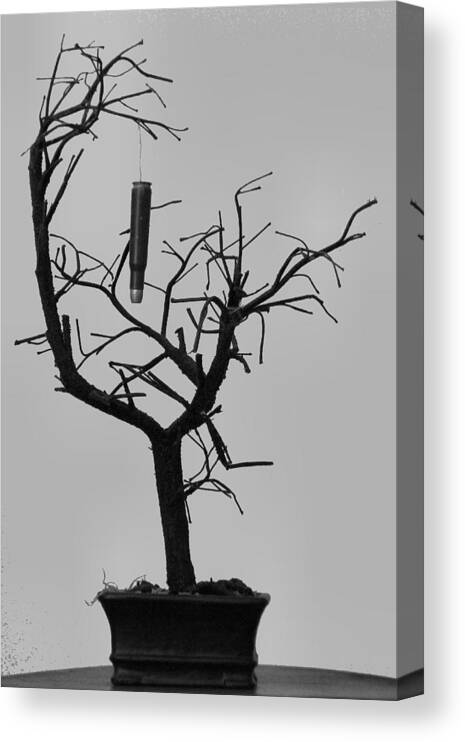Whimsy Canvas Print featuring the photograph Cartridge in a Bare Tree by Lin Grosvenor