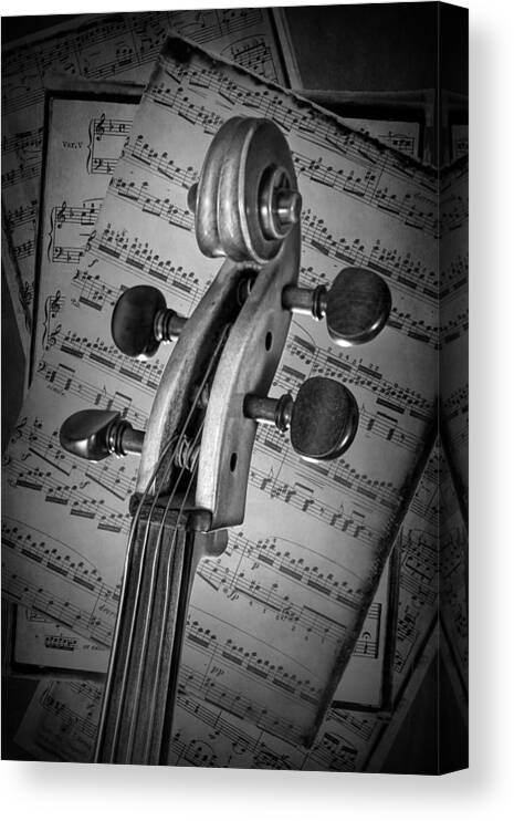 Cello Canvas Print featuring the photograph Cello Classic Art by Randall Nyhof