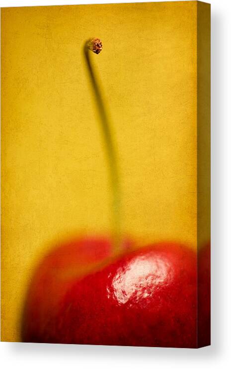 Cherry Canvas Print featuring the photograph Cherry Bliss by Amy Weiss