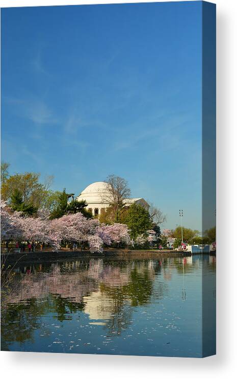 Architectural Canvas Print featuring the photograph Cherry Blossoms 2013 - 098 by Metro DC Photography
