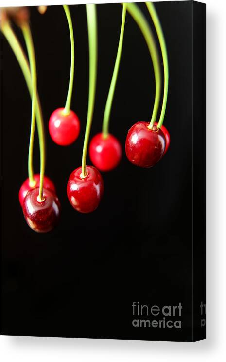 Cherry Canvas Print featuring the photograph Cherry Fruits by Eden Baed