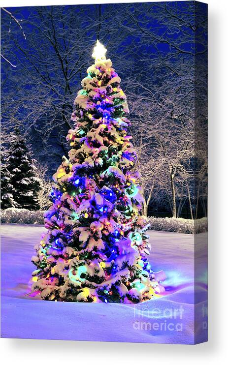 Christmas Canvas Print featuring the photograph Christmas tree in snow by Elena Elisseeva