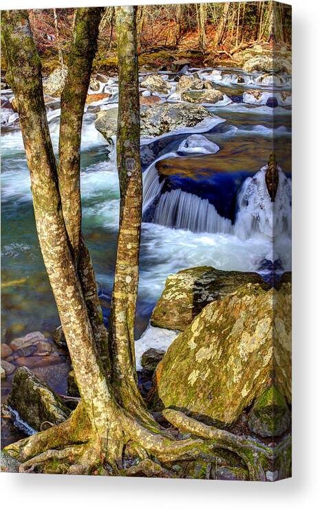 Smoky Mountain River Canvas Print featuring the photograph Clinging To The Bank by Michael Eingle
