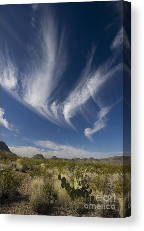 Cloud Canvas Print featuring the photograph Clouds Above Chihuahuan Desert, Big by Greg Dimijian