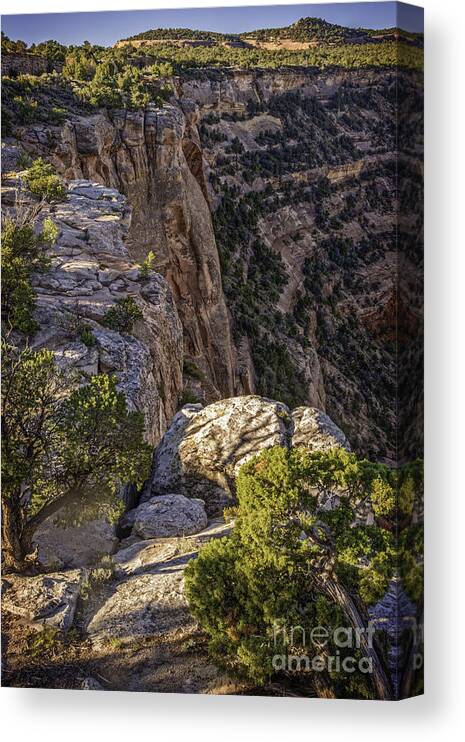Colorado National Monument Canvas Print featuring the photograph Cnm 004 by David Waldrop