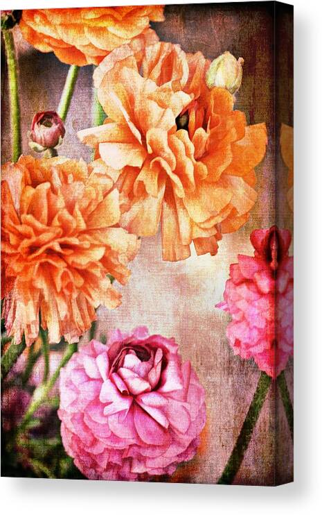 Floral Canvas Print featuring the photograph Color 144 by Pamela Cooper