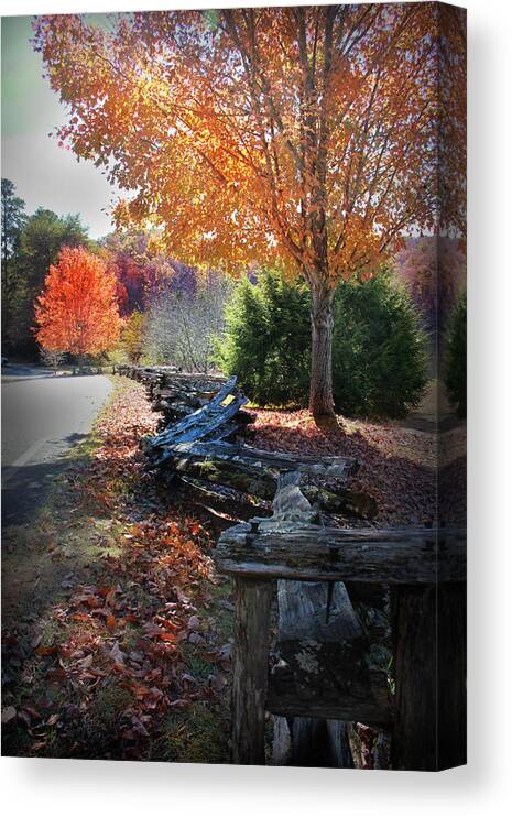 Kelly Hazel Canvas Print featuring the photograph Color by Kelly Hazel