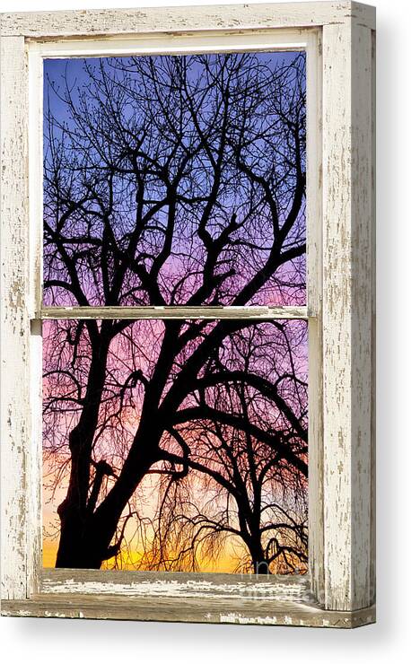 Window Canvas Print featuring the photograph Colorful Tree White Farm House Window Portrait View by James BO Insogna