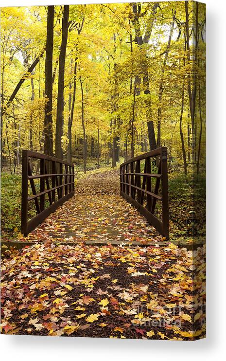 Autumn Trees Canvas Print featuring the photograph Colors of Fall by Patty Colabuono
