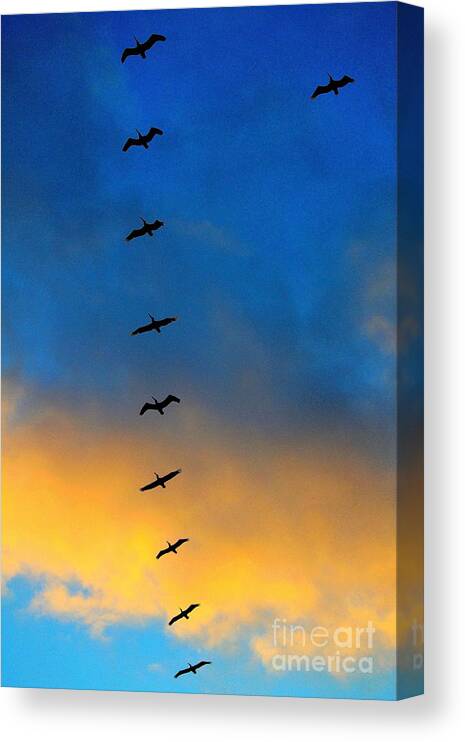 Birds Canvas Print featuring the photograph Coming Home 2 by Theresa Ramos-DuVon
