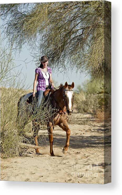 Horse Canvas Print featuring the photograph Coming Through the Wash by Kathy McClure