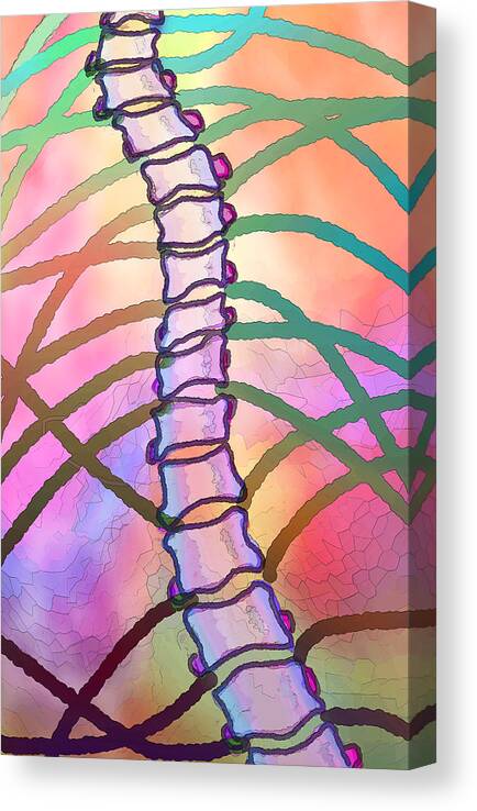 Palm Canvas Print featuring the digital art Connections by Ginny Schmidt